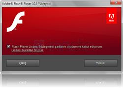 Adobe Flash Player IE Internet Explorer İçin