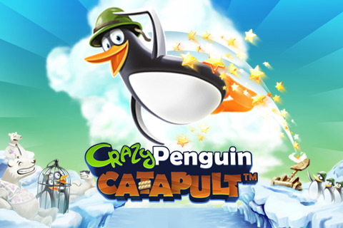 Crazy Penguin Catapult 1