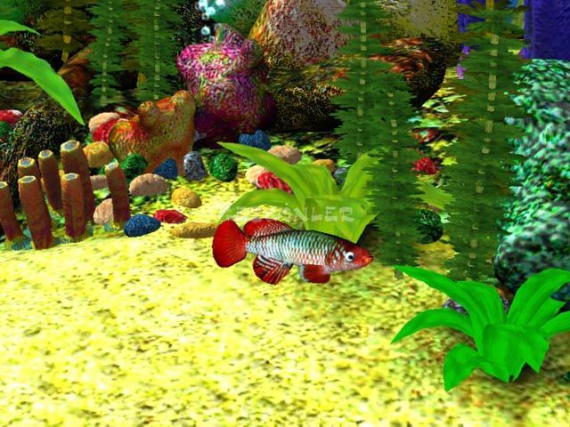 B Free 3D Aquarium Screensaver 1311081293 1 4